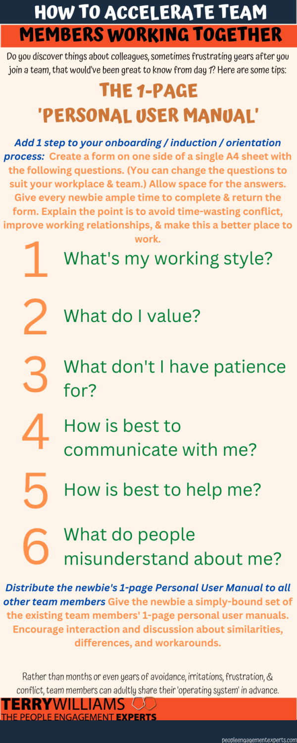 1 page personal user manual infographic